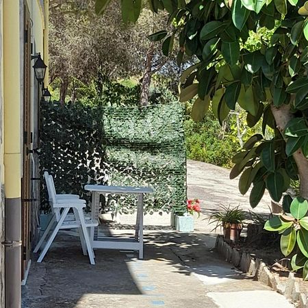 Villa Filomena Montecorice Exterior foto