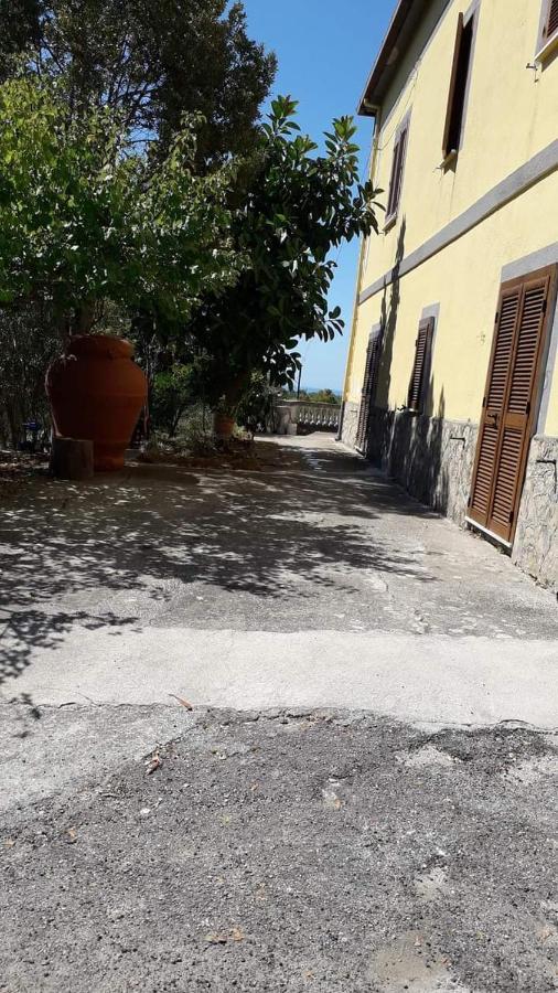 Villa Filomena Montecorice Exterior foto